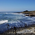 31Bean Hollow State Beach, Pebble Beach.JPG