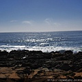 35Bean Hollow State Beach, Pebble Beach.JPG