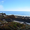 33Bean Hollow State Beach, Pebble Beach.JPG