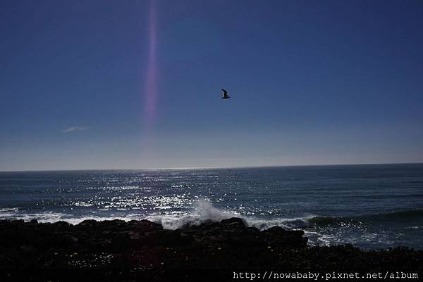 37Bean Hollow State Beach, Pebble Beach.JPG