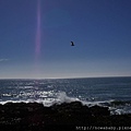 37Bean Hollow State Beach, Pebble Beach.JPG