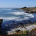 36Bean Hollow State Beach, Pebble Beach.JPG