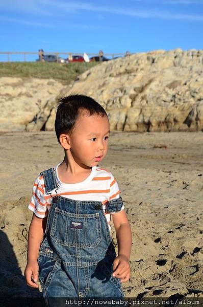 66Natural Bridges State Beach.JPG