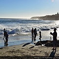 64Natural Bridges State Beach.JPG