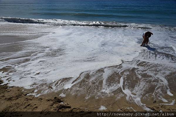 18Half Moon Bay State Beach.JPG