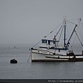 50old fisherman's wharf in Monterey.JPG