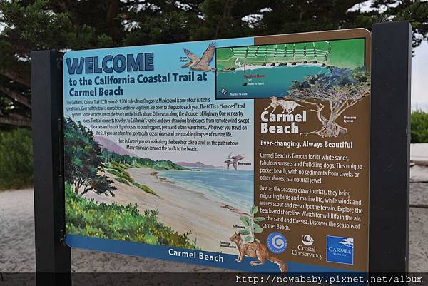 35camel beach.JPG