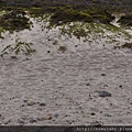 28Pfeiffer Beach.JPG