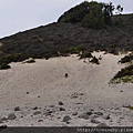 29Pfeiffer Beach.JPG