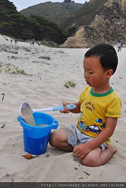 39Pfeiffer Beach.JPG