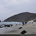 43Pfeiffer Beach.JPG