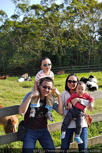 01飛牛牧場.JPG