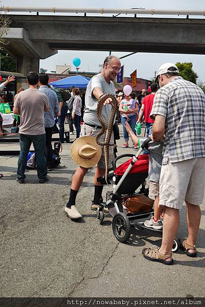 28solano avenue stroll.JPG