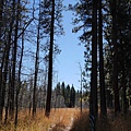 32Fallen Leaf Lake.JPG