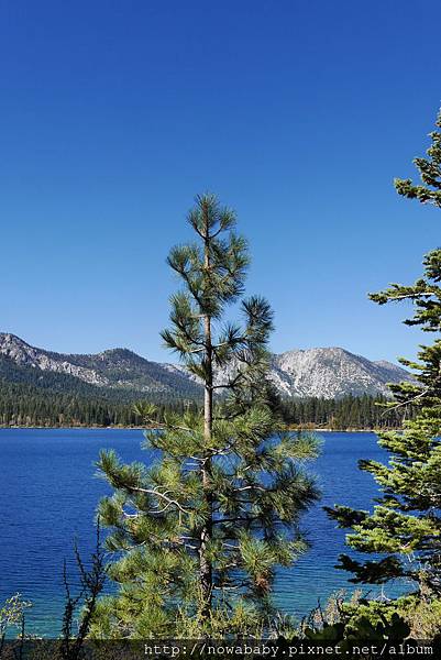 39Fallen Leaf Lake.JPG