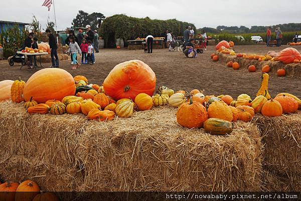 08HMB halloween.JPG