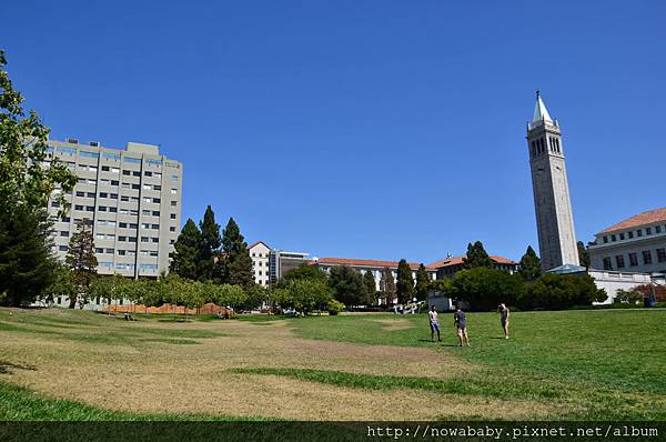 02UC Berkeley圖書館前草皮.JPG