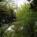 28芝公園.JPG