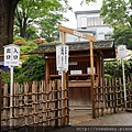 55根津神社看杜鵑.JPG