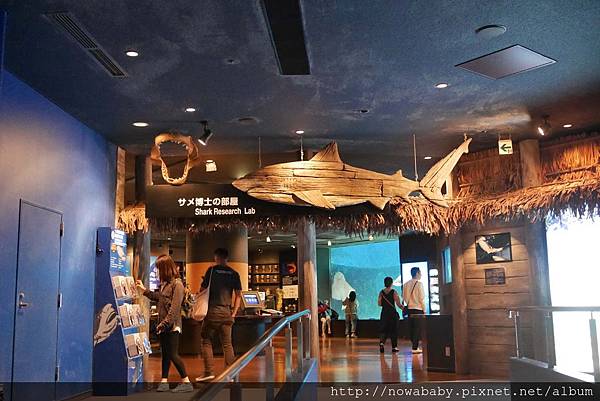 68沖繩美麗海水族館.JPG