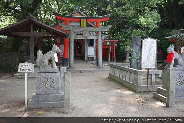 24住吉神社.JPG