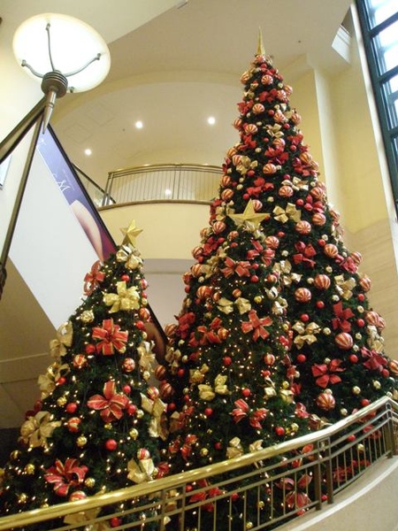 PITT St. MYER百貨門口的聖誕樹