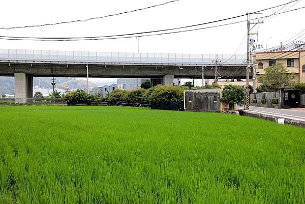 熊轉家田咖喱台中霧峰咖哩專賣田園風光景觀餐廳002.jpg