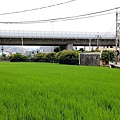 熊轉家田咖喱台中霧峰咖哩專賣田園風光景觀餐廳002.jpg