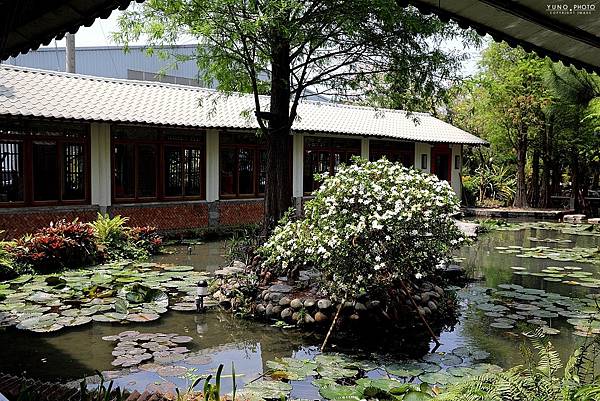 台中南屯田園式農莊田寮農莊寵物友善景觀餐廳094.jpg