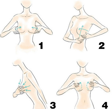 09fdcb20-0b52-48ec-a0d2-828b0d0d711f.jpg 09fdcb20-0b52-48ec-a0d2-828b0d0d711f.jpg