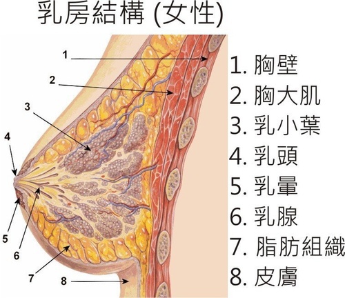 607341631_m.jpg 607341631_m.jpg