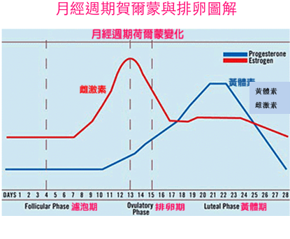 未命名1.png 未命名1.png