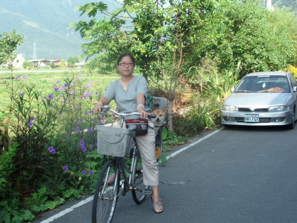 0714花蓮行-金澤居ㄚ兩單車逍遙遊 6.jpg