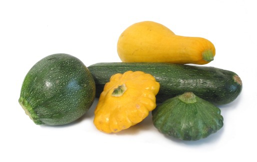 summersquash-group.jpg