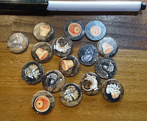 DSC_0260.JPG DSC_0260.JPG