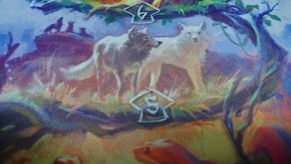 DSC_0319 (2).JPG DSC_0319 (2).JPG