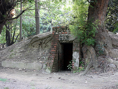 43467_1.jpg 43467_1.jpg