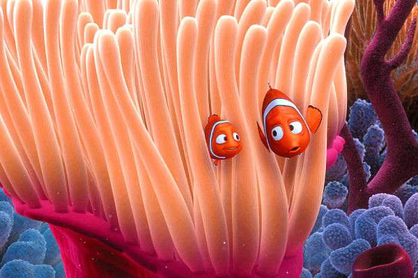 (https://nypost.com/2017/07/17/finding-nemo-is-a-hermaphroditic-lie-says-science/)