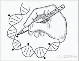 (https://read01.com/oLLmeRa.html#.W_QGRjgzbIU)