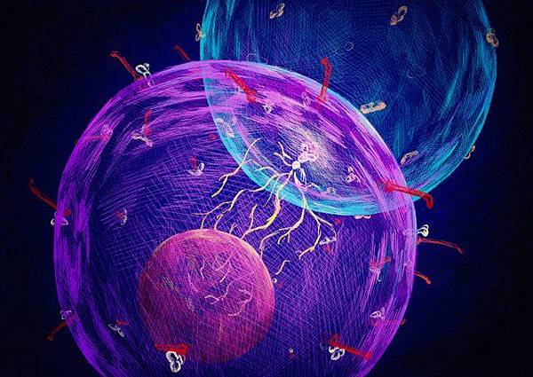 (https://www.the-scientist.com/daily-news/researchers-build-a-cancer-immunotherapy-without-immune-cells-30628)