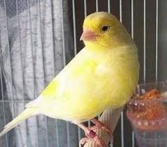 下載.jpg 下載.jpg