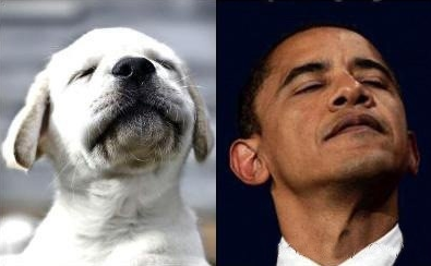 107613454.png 107613454.png