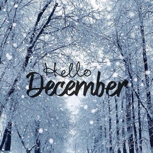 Hello December #Christmas%26;winter❄.jpg