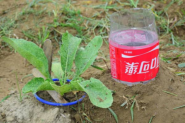 106.05月縮短城鄉科學落差「宅科學」05.JPG