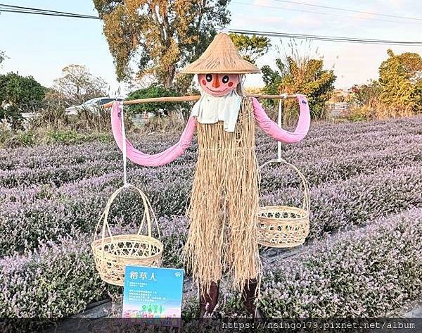 2023桃園仙草嘉年華之花心筆記