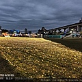 IMG20250206175057.jpg