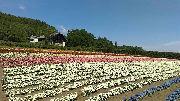 北星山和富田農場之旅_49.jpg