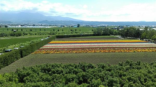 北星山和富田農場之旅_61.jpg