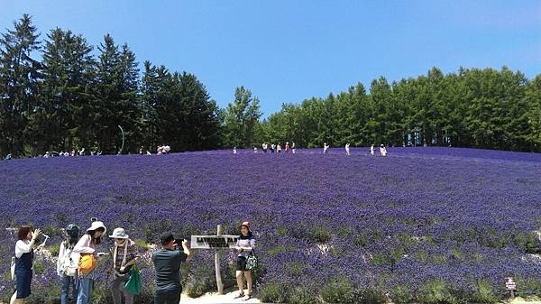 北星山和富田農場之旅_60.jpg