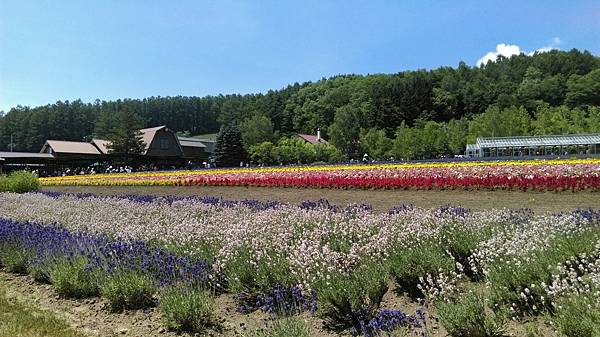 北星山和富田農場之旅_70.jpg